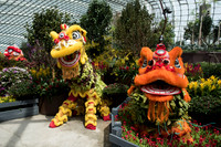 Gardens by the Bay